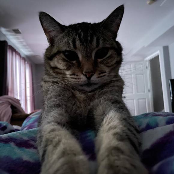 joobsmcbewbs